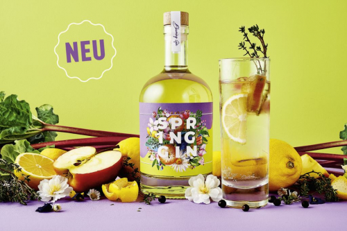 Spring Gin - Frühlings Gin - 42% - 0,5l